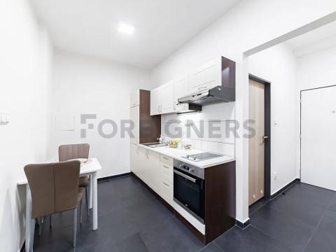 Pronájem bytu 1+1, Brno, Bratislavská, 40 m2