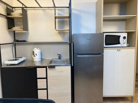 Pronájem bytu 1+kk, Praha - Dejvice, 19 m2
