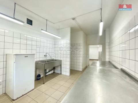 Pronájem obchodního prostoru, Teplice, Duchcovská, 75 m2