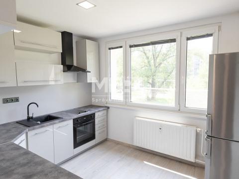 Pronájem bytu 1+1, Karviná - Hranice, Čsl. armády, 54 m2