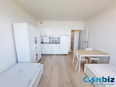 Pronájem bytu 1+kk, Plzeň, Technická, 29 m2