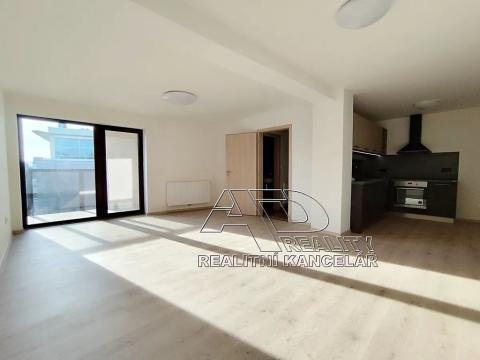 Pronájem atypického bytu, České Budějovice, Fráni Šrámka, 66 m2
