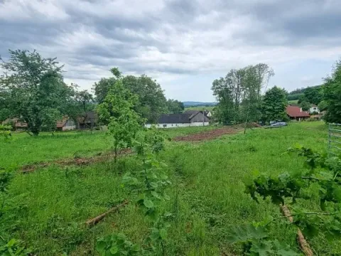Prodej pozemku pro bydlení, Rohozná, 3818 m2