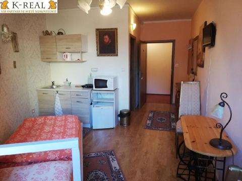 Pronájem bytu 1+kk, Brno, Pražská, 23 m2