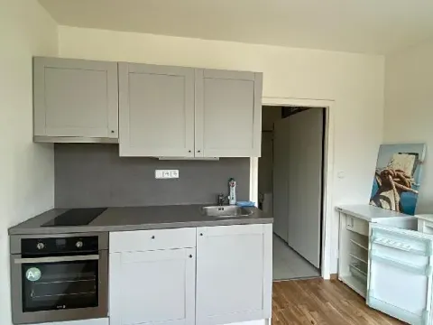 Pronájem bytu 1+1, Praha - Žižkov, Pod lipami, 38 m2