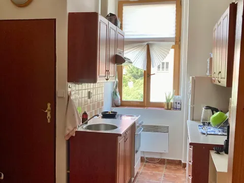 Pronájem bytu 1+1, Praha - Košíře, Vrchlického, 30 m2