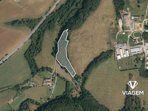 Prodej podílu lesa, Kájov, 735 m2