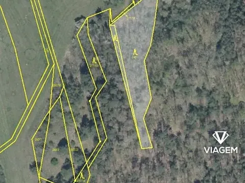 Prodej lesa, Švihov, 2192 m2
