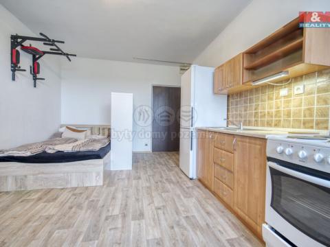 Pronájem bytu 1+kk, Plzeň - Litice, Klatovská, 25 m2