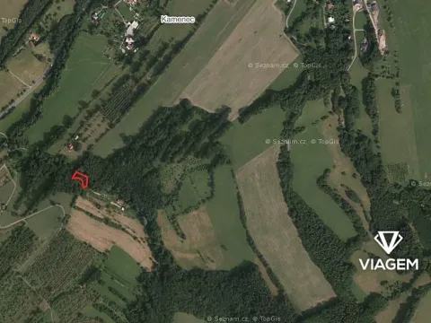 Prodej podílu lesa, Vizovice, 227 m2