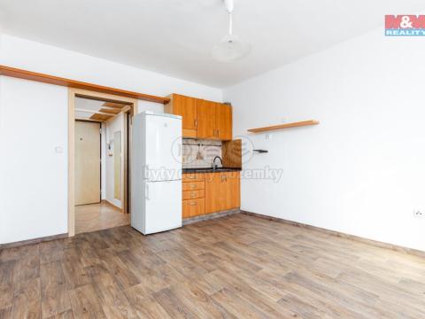 Pronájem bytu 1+kk, Pardubice, Sukova třída, 57 m2