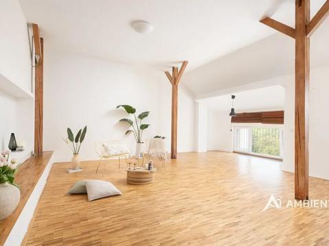 Pronájem bytu 4+kk, Brno, Čápkova, 147 m2