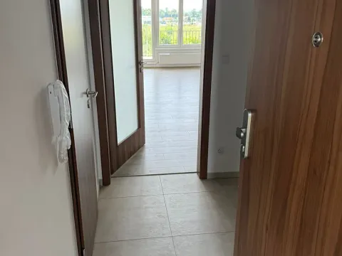 Pronájem bytu 1+kk, Pardubice, Pod Vinicí, 39 m2