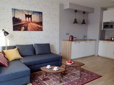 Pronájem bytu 2+kk, Praha - Holešovice, V háji, 75 m2