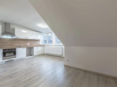 Pronájem bytu 2+kk, Plzeň, U Pumpy, 50 m2