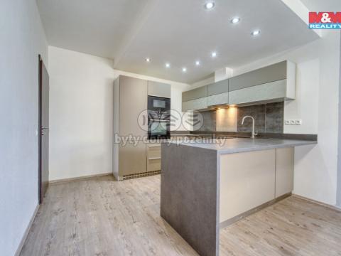 Pronájem bytu 2+kk, Plzeň - Bolevec, U Velkého rybníka, 49 m2