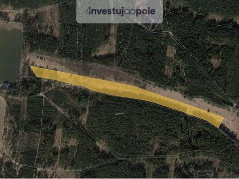 Prodej louky, Trstěnice, 40954 m2