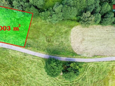 Prodej pozemku pro bydlení, Králíky - Horní Lipka, 1003 m2
