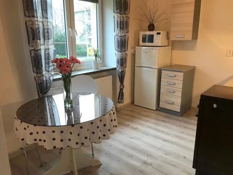 Pronájem bytu 1+1, Frýdek-Místek, Lískovecká, 30 m2