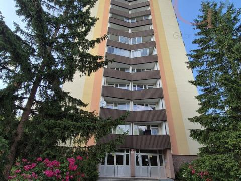 Prodej bytu 2+1, Plzeň - Doudlevce, Heyrovského, 69 m2