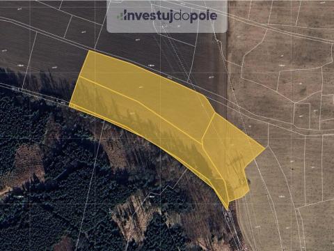 Prodej pole, Blovice, 8545 m2