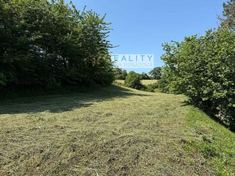 Prodej pozemku pro bydlení, Deblín, 2752 m2