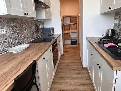 Pronájem bytu 2+1, Brno, Náplavka, 45 m2