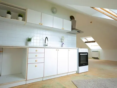 Pronájem bytu 1+kk, Beroun, Česká, 39 m2