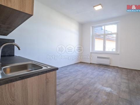 Pronájem bytu 1+1, Sokolov, Nádražní, 42 m2