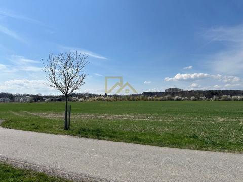 Prodej pole, Boršov nad Vltavou, 9981 m2