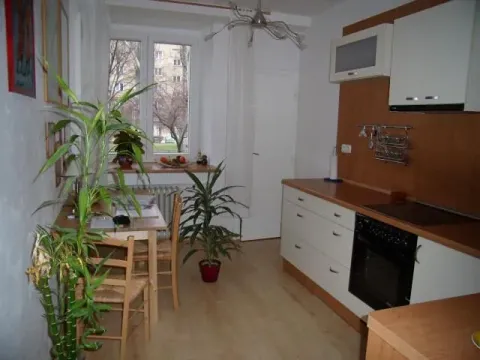 Pronájem bytu 1+1, Brno, Botanická, 39 m2