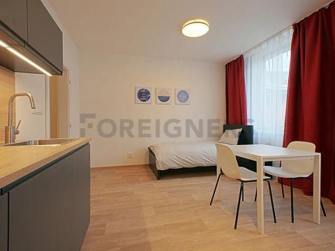 Pronájem bytu 1+kk, Brno, Kobližná, 33 m2