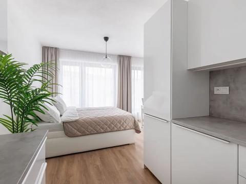 Pronájem bytu 1+kk, Brno, Lidická, 37 m2