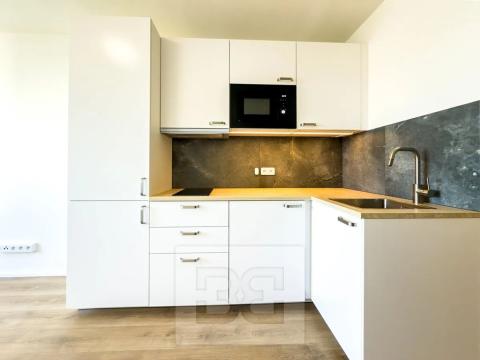 Pronájem bytu 1+kk, Praha - Chodov, Čenětická, 22 m2