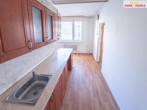 Prodej bytu 4+1, Litvínov, U Zámeckého parku, 84 m2