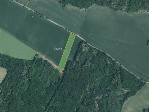 Prodej pole, Senorady, 11604 m2
