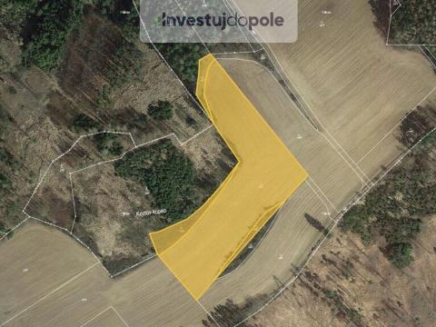 Prodej louky, Pravonín - Lesáky, 13670 m2