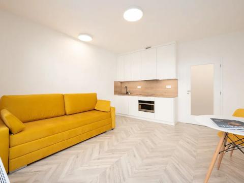 Pronájem bytu 1+kk, Brno, Cejl, 30 m2