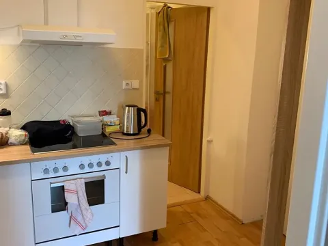 Pronájem bytu 1+1, Brno, Solniční, 30 m2