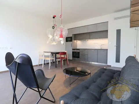 Pronájem bytu 2+kk, Praha - Dejvice, Lindleyova, 51 m2