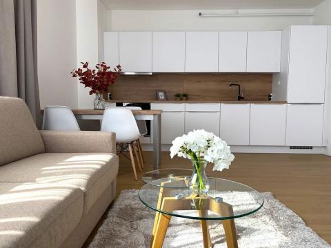 Pronájem bytu 3+kk, Praha - Vysočany, Hindlova, 63 m2