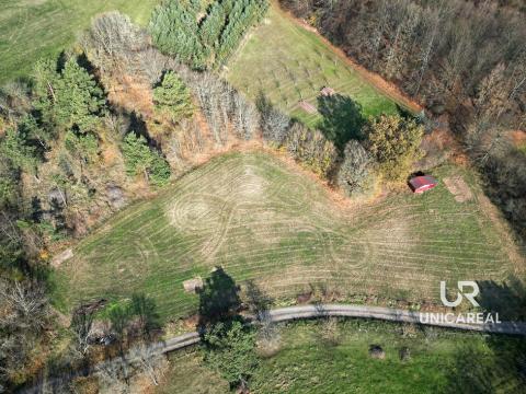 Prodej pozemku, Letovice, 2184 m2