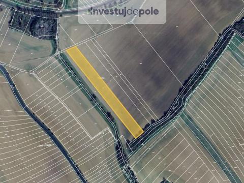 Prodej pole, Šelešovice, 1997 m2