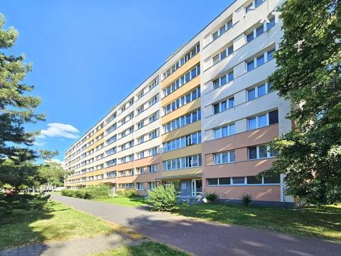 Pronájem bytu 1+kk, Pardubice, Kosmonautů, 38 m2