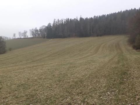 Dražba pole, Zvěstov, 22738 m2
