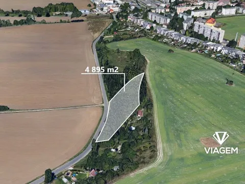 Prodej podílu lesa, Vysoké Mýto, 611 m2