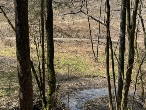 Prodej lesa, Ledeč nad Sázavou, 3240 m2