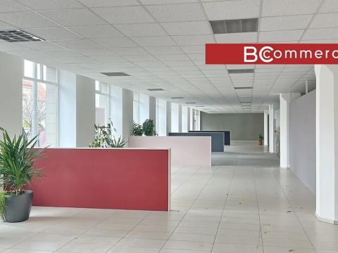 Pronájem obchodního prostoru, Brno, Zábrdovická, 530 m2