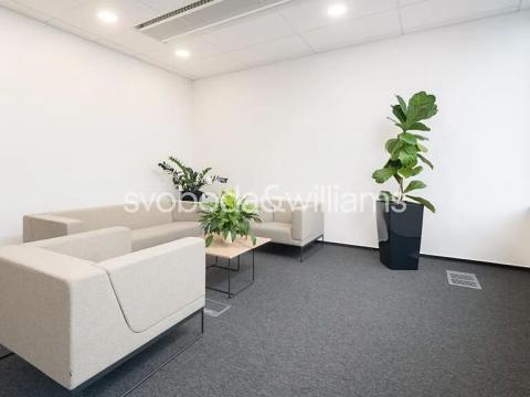 Pronájem kanceláře, Brno, Nové sady, 520 m2