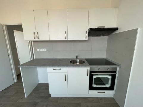 Pronájem bytu 1+1, Litvínov, U Bílého sloupu, 42 m2